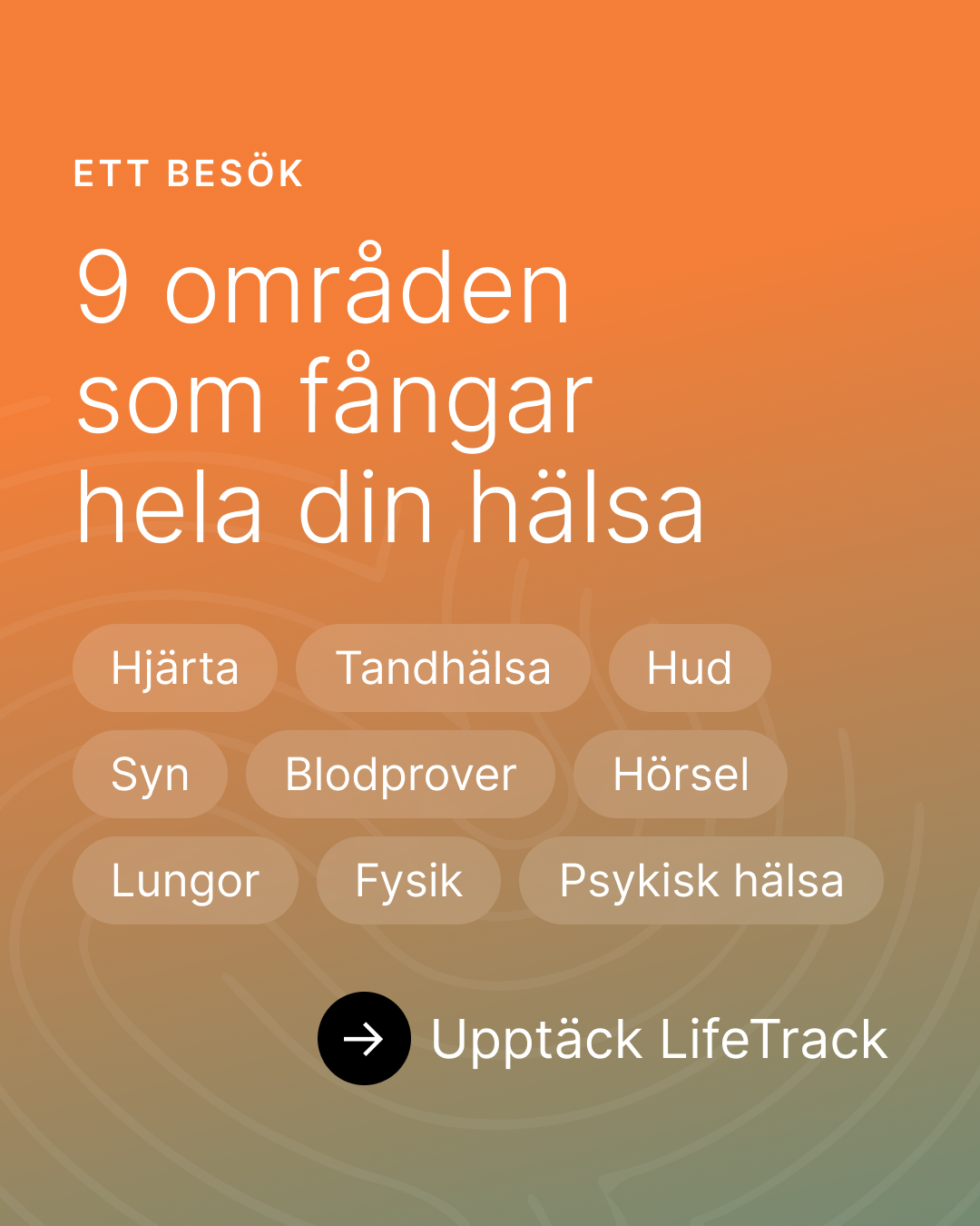 9 områden som fångar hela din hälsa