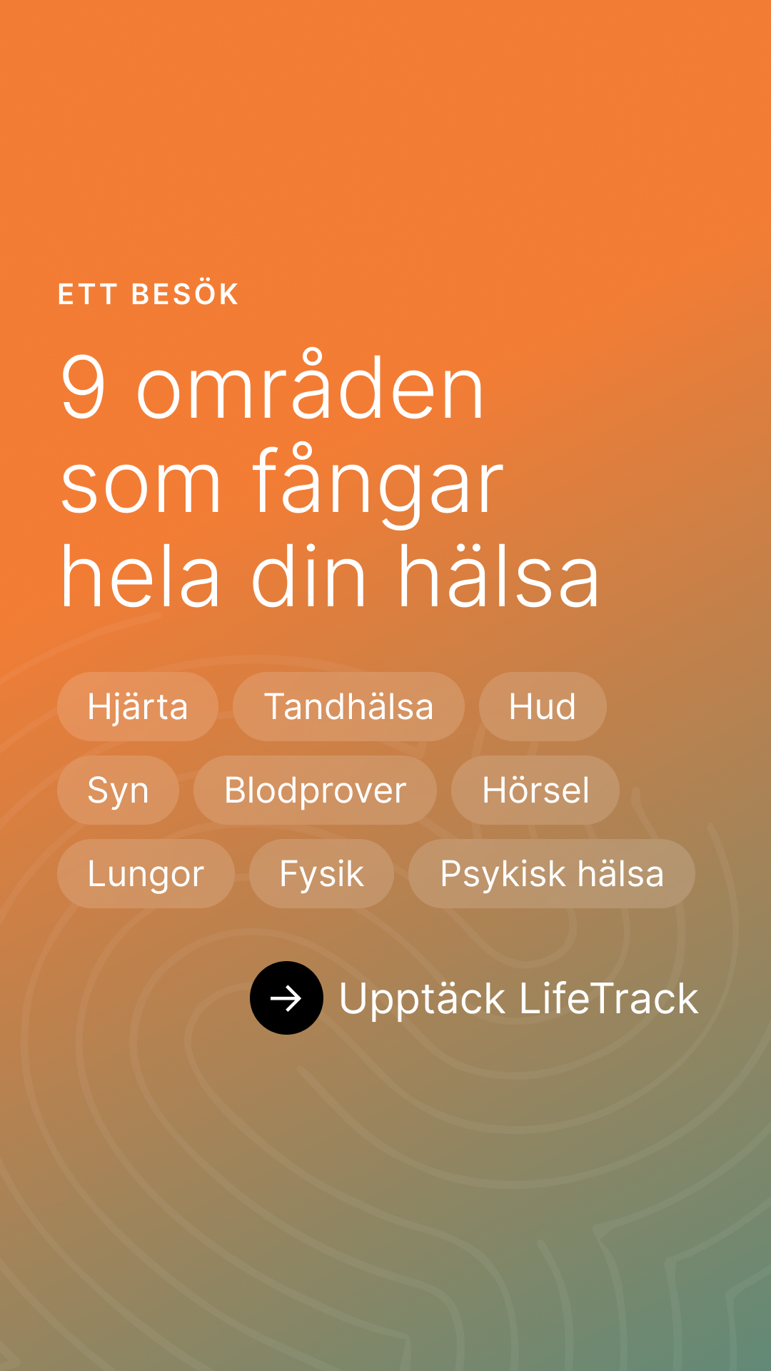 9 områden som fångar hela din hälsa